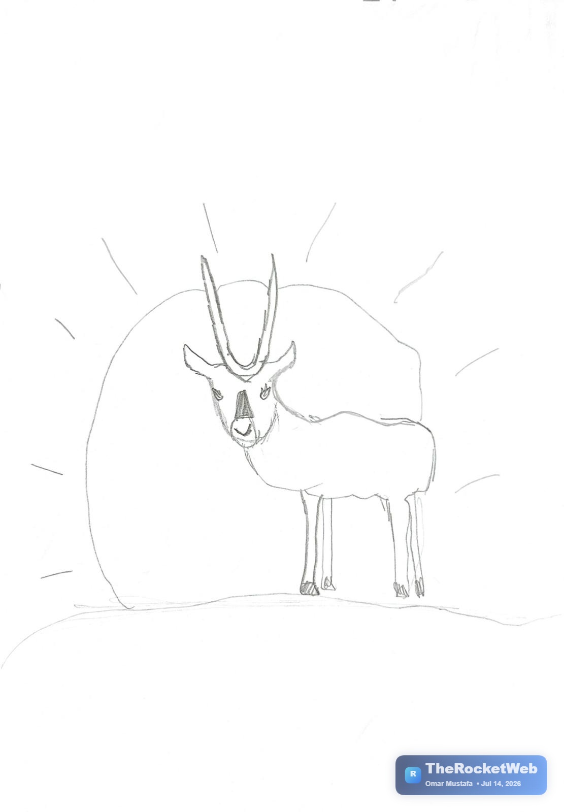 The Arabian Oryx