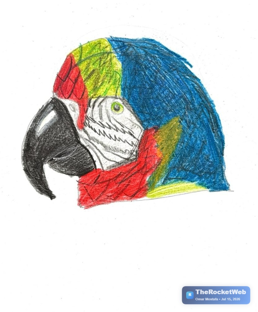 The Colorful Parrot